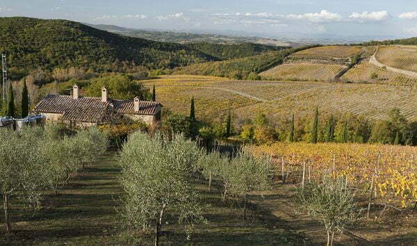 Casanuova delle Cerbaie - Winery view