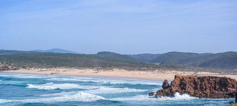 Algarve Wine Region - The Good Gourmet