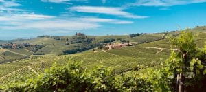 Langhe wine region - The Good Gourmet