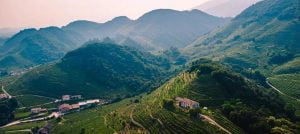 Veneto Wine Region - The Good Gourmet
