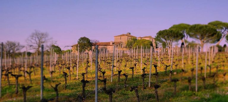 Entre deux mers - Bordeaux wine region - The Good Gourmet