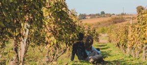 Northern Romania Wine Region - The Good Gourmet
