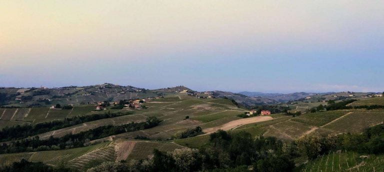 The Piedmont Wine Region - The Good Gourmet