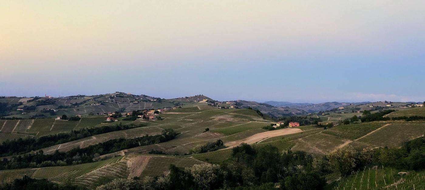 The Piedmont Wine Region - The Good Gourmet