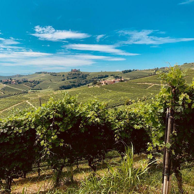 Langhe Wine Region - Italy - The Good Gourmet