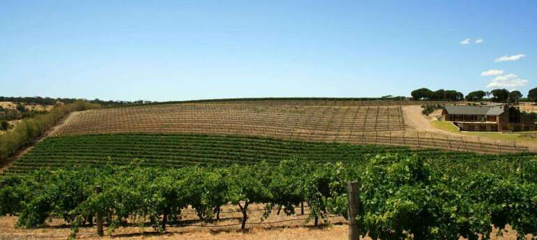 Barossa Valley wine Region - The Good Gourmet