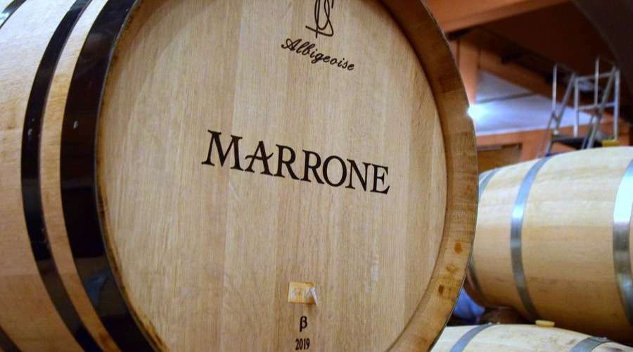 Agricola Marrone - Vineyard Tour - Piemonte - The Good Gourmet