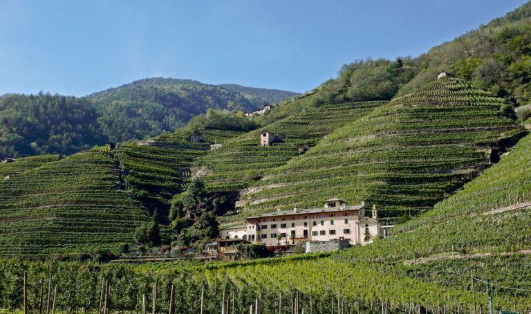 La Gatta wine tasting