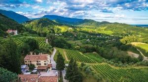 Villa-Arfanta Serena wines - wine Tasting - The Good Gourmet
