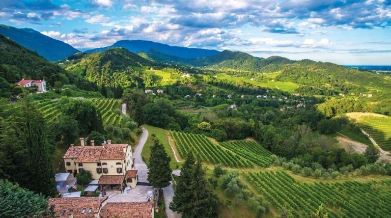 Villa-Arfanta Serena wines - wine Tasting - The Good Gourmet