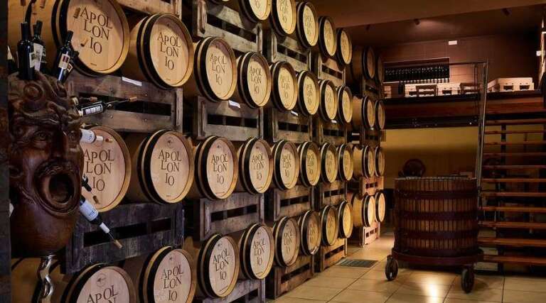 Apollonio vini - Italy - The Good Gourmet