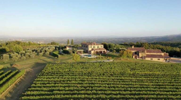 Buli Vineyard - Tours and Tasting - Siena - Italy - The Good Gourmet