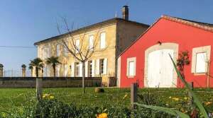 Chateau Clarisse - Saint Emilion - Vineyard Tour - The Good Gourmet