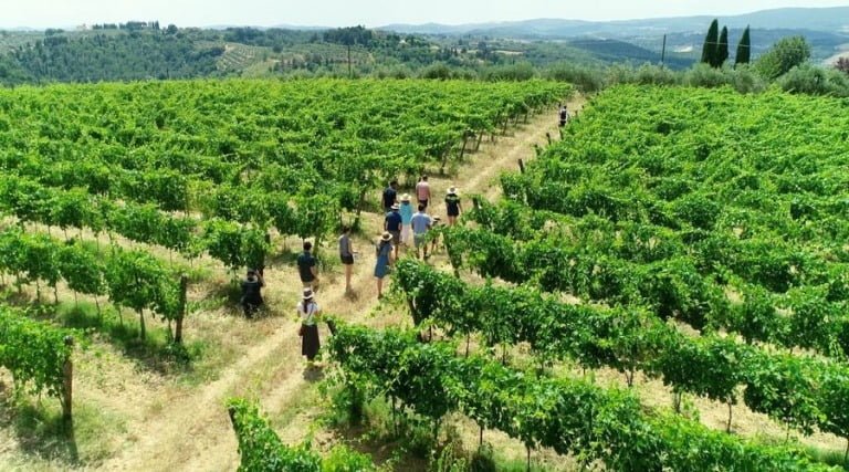 Fattoria Montemorli - WINE TOUR - The Good Gourmet