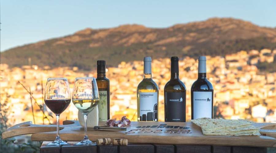 Gibadda - wine tasting - Sardinia - The Good Gourmet
