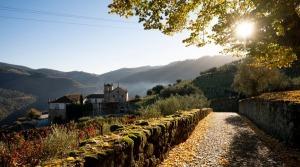 Kraneman vineyard Portugal - The Good Gourmet