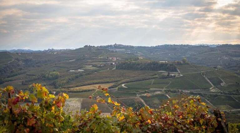 MauroSebaste - winery tour - Cuneo - Italy - The Good Gourmet
