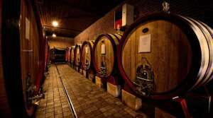 Moncjiero Vini - Piedmont - Vineyard Tour - The Good Gourmet
