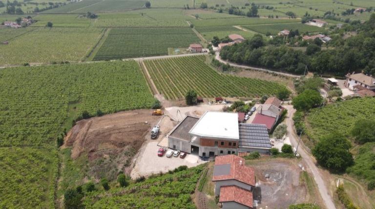 Tenuta Maule vineyard tour - The Good Gourmet