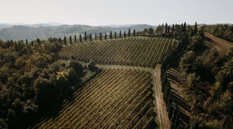 Venurini Baldini - Lambrusco - wine tasting - Italy - The Good Gourmet