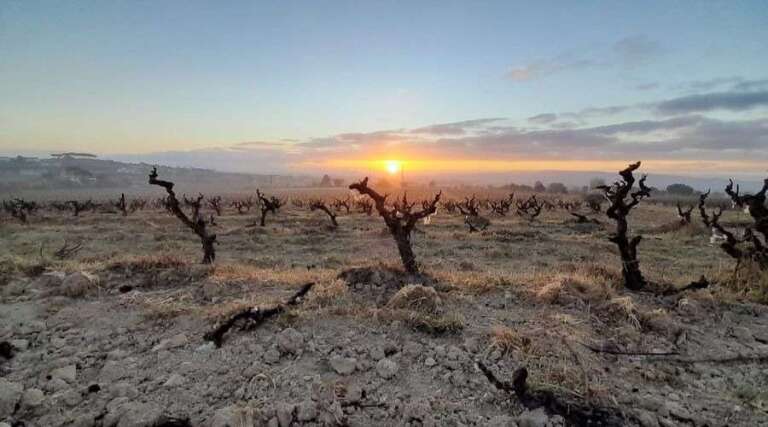 Vila Morgades - Barcelona - Spain - Cava Tasting - The Good Gourmet