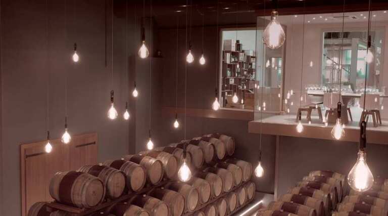 Accordini - Vineyard Tour - Valpolicella -The Good Gourmet