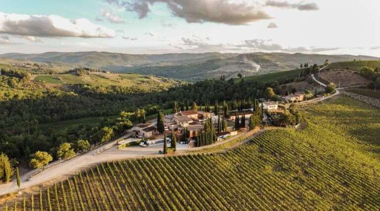 Basilica Cafaggia - Chianti - Italy - Vineyard Tour - The Good Gourmet