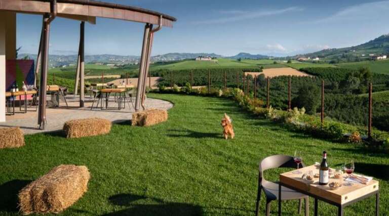 Diego Morra - Vineyard Tour - Langhe - Piedmont - Italy - The Good Gourmet