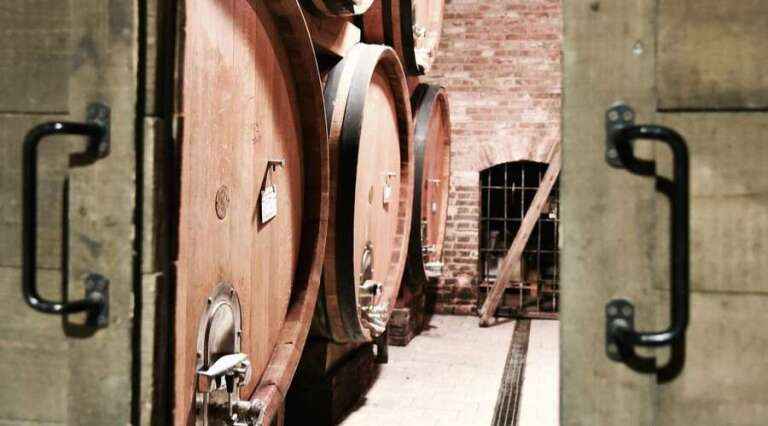 Giacomo Vico - Langhe - Vineyard Tour and Tasting - The Good Gourmet