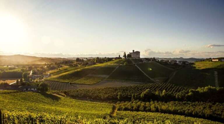 Grimaldi Vini - Vineyard Tours - Alta Langa - Italy - The Good Gourmet