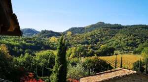 Le Pianore - Agriturismo - Tuscany - The Good Gourmet