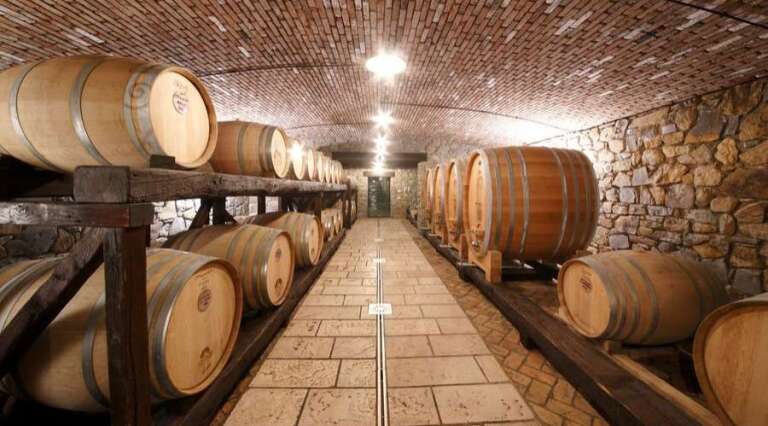 Lis Fadis - Vineyard Tour - Friuli - The Good Gourmet