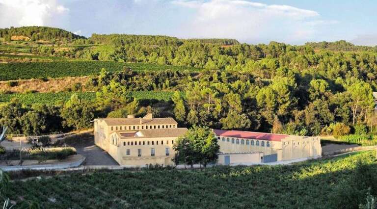 Moli Parellada - Cava tasting - Barcelona - The Good Gourmet
