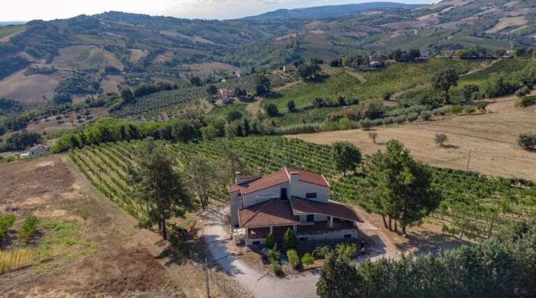 Quaresima - Vineyard Tours - Ancona - Verdicchio - Italy - The Good Gourmet