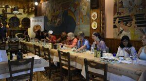 Socrates Olive Grove - Delphi - Greece - Olive Oil Tasting and Tours- The Good Gourmet