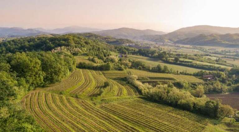 Spolert winery - wine tasting - Friuli - Italy - The Good Gourmet