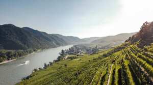 Weingut Bernhard Wachau Austria - Wine tasting - The Good Gourmet
