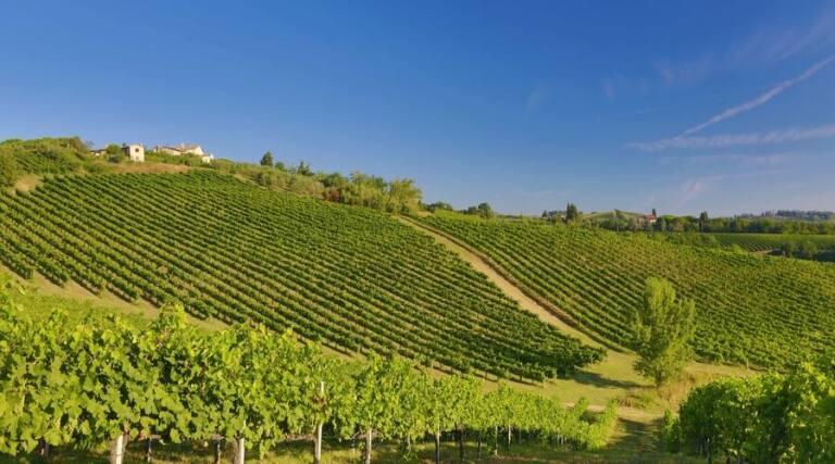 Azienda Palagetto - San Giminiano - Tuscany - Italy - Agriturismo - The Good Gourmet