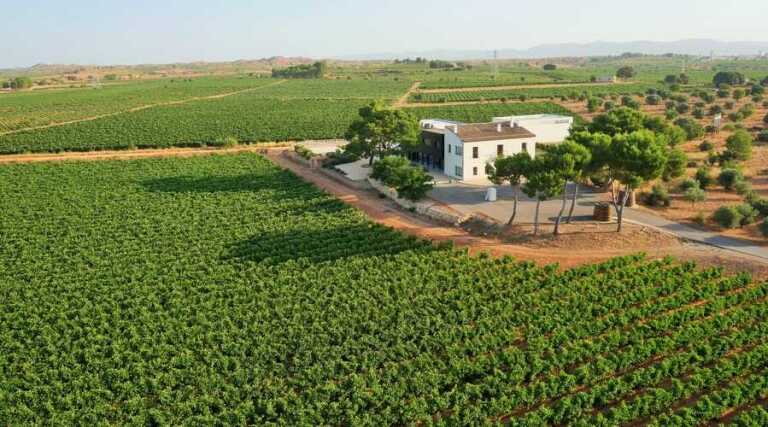 Bodegas Hispano Suizas - Valencia - Spain - Vineyard Tour and Oenotourism - The Good Gourmet
