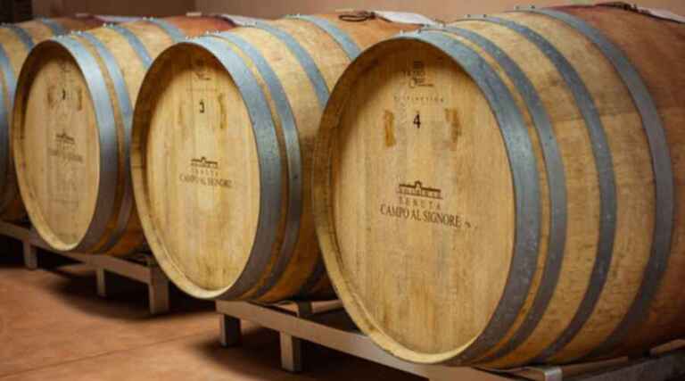 Campo al Signore - Bolgheri - Vineyard Tour - The Good Gourmet