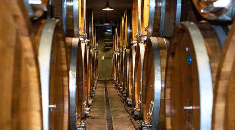 Casa Francoli - Piedmont - Vineyard Tour - The Good Gourmet