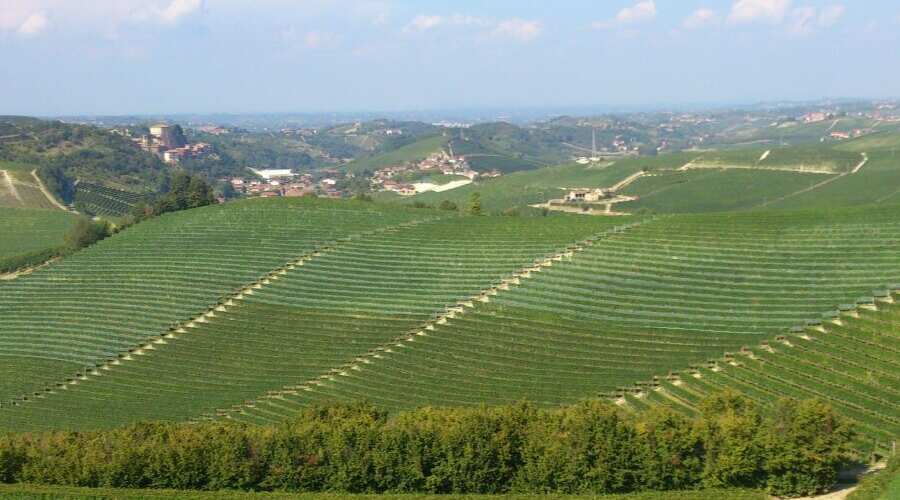 Casa Goregn - Piedmont - Vineyard Tour - The Good Gourmet