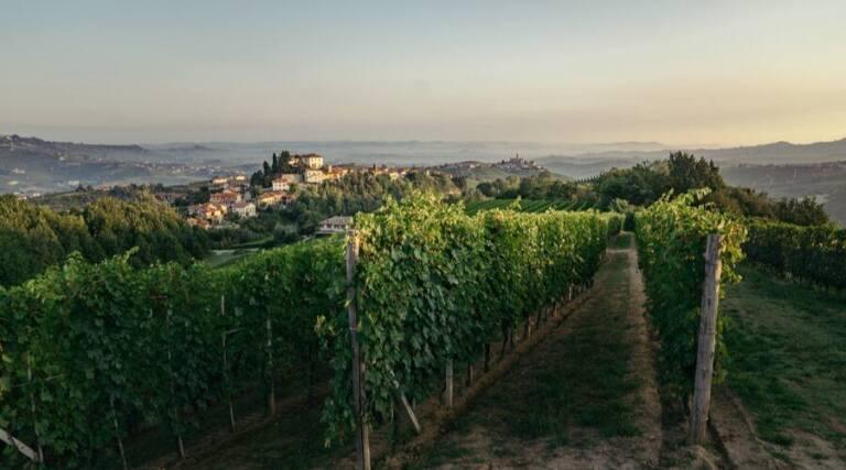 Castello di Perno - Vineyard Tour - Nizza - Italy - The Good Gourmet