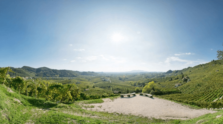 Colesel Spumanti - Valdobbiadene - Italy - Vineyard Tours - The Good Gourmet
