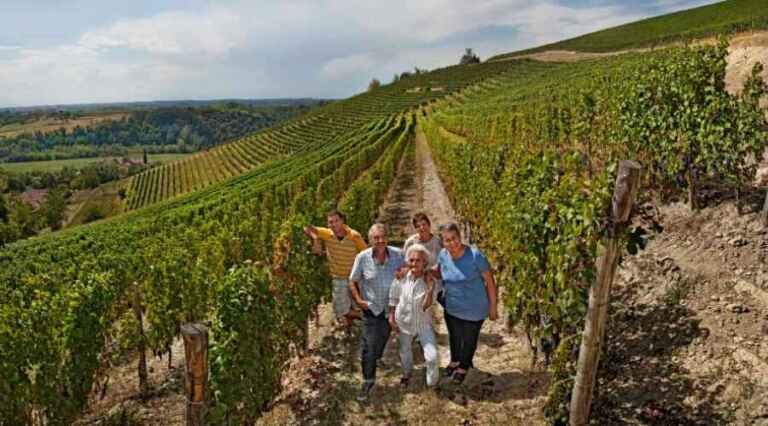 La Fusina - Dogliani - Alta Langa - wine tasting - The Good Gourmet