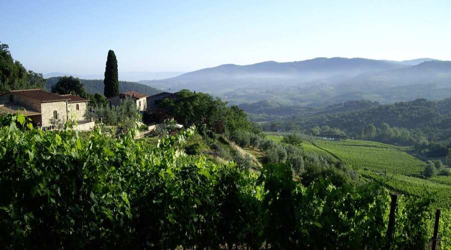 Le Fonti Panzano - Chianti - Italy - wine tasting - The Good Gourmet