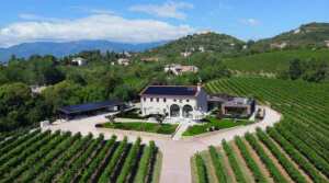 Progress winery - wine tasting - Italy - The Good Gourmet