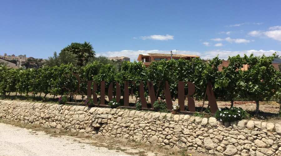 Riofavara - Sicilia - Vineyard Tour - The Good Gourmet