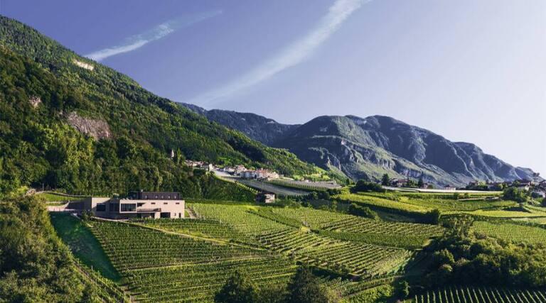 Tenuta Pfitscher - Alto Adige - Vineyards Tour - The Good Gourmet