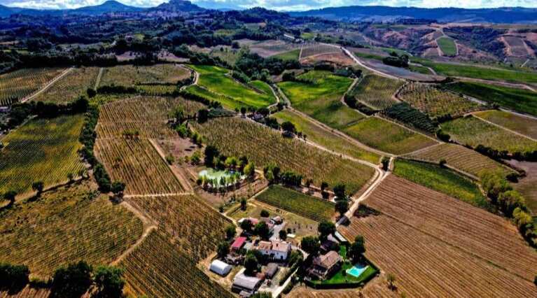 Tiberini Vini - Montepulciaono - Vineyard Tour - The Good Gourmet